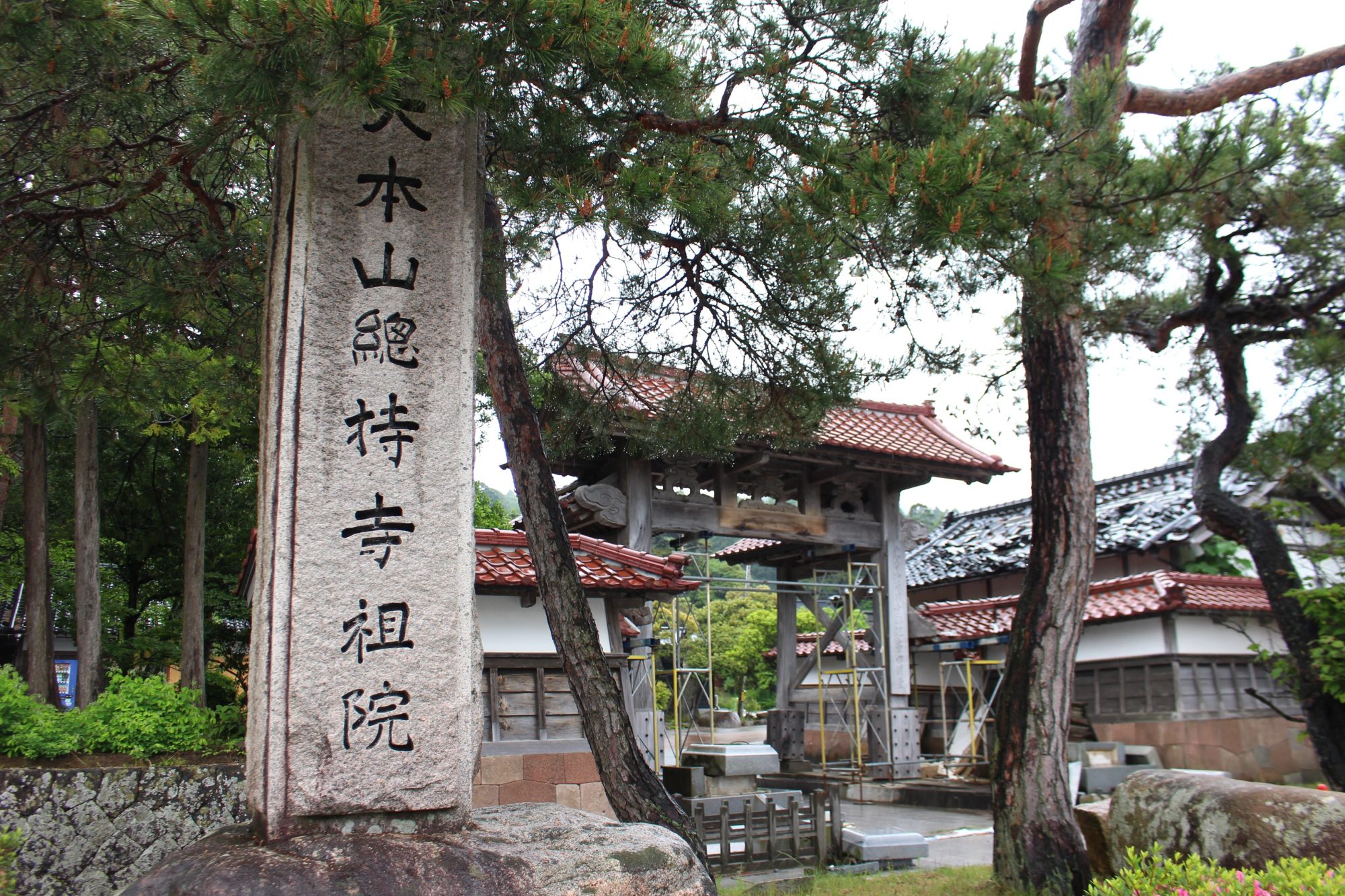 連載「能登の遺伝子」で記事をアップしました／総持寺通り協同組合の宮下杏里さんの前編